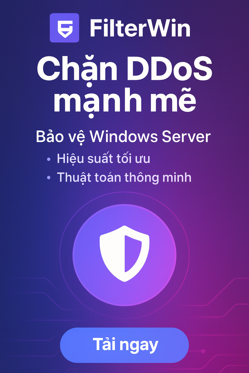 FilterWin Anti-DDoS Protection